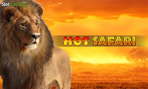 Hot Safari brabet
